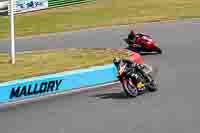 enduro-digital-images;event-digital-images;eventdigitalimages;mallory-park;mallory-park-photographs;mallory-park-trackday;mallory-park-trackday-photographs;no-limits-trackdays;peter-wileman-photography;racing-digital-images;trackday-digital-images;trackday-photos